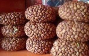 岷县大豆 岷县大豆