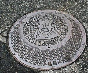 窨井盖