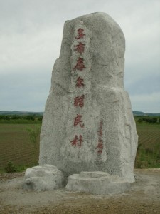 鄂伦春大杨树镇林江图片