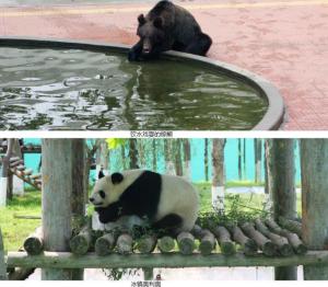 合并图册
