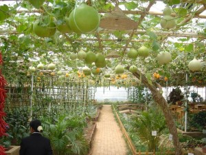 钟灵山生态农业观光园 钟灵山生态农业观光园