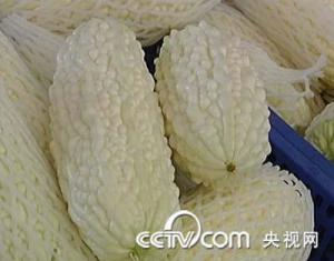 白苦瓜