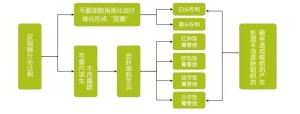 形成过程