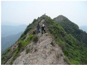 隐龙山