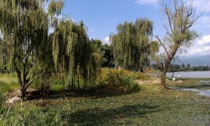 西昌湿地公园