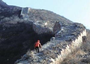刘家营乡东风村