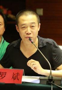 主任罗斌