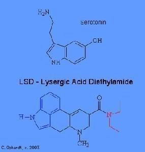 LSD