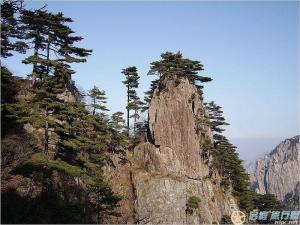 瞻山图册