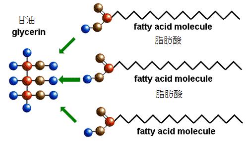 油酸钠水溶液：化工行业的绿色革命