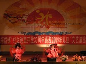 海岱镇文艺晚会