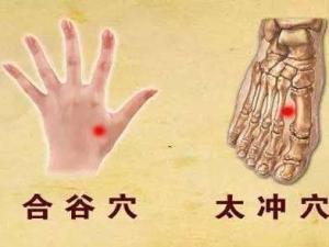 四关穴