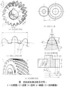 斜齿轮画法 机械制图图片