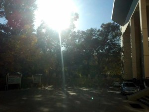 新疆农业大学