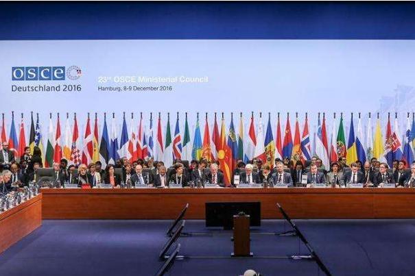 欧洲安全与合作组织_搜狗百科