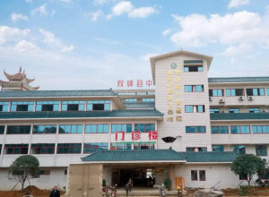 湖南双牌县中医医院