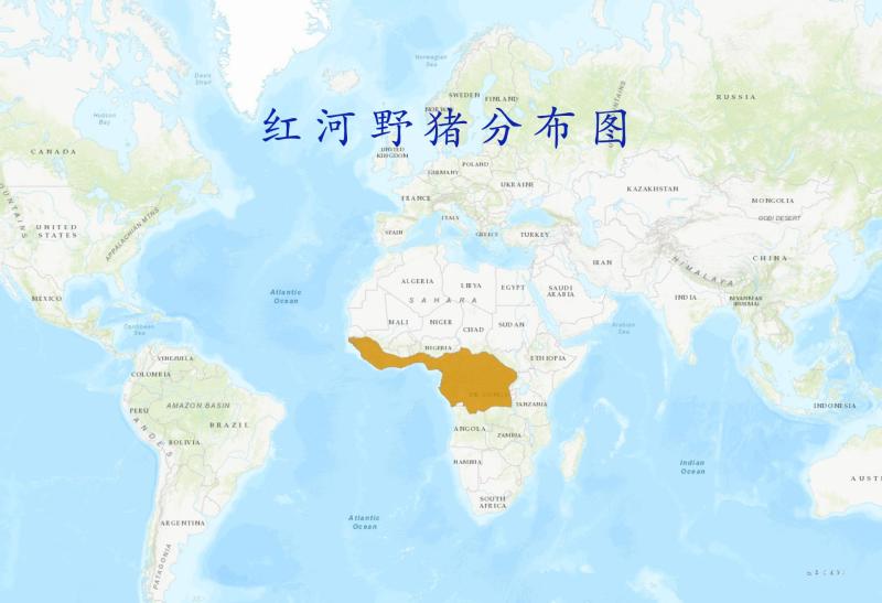红河野猪分布图