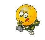 1996年哈尔滨亚冬会吉祥物-豆豆