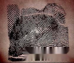 编辑亨利氏指纹分类法依照指纹形状将指纹分成 斗形纹, 箕形纹和 弧形