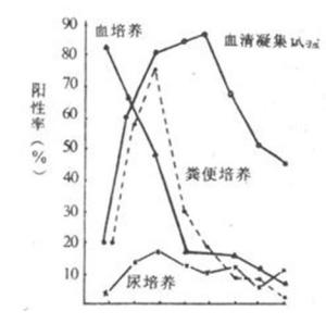 伤寒病程种各种试验阳性率