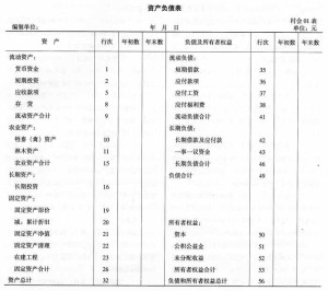 集体经济年度会计报表