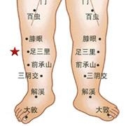 相关穴位