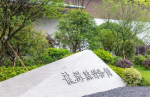 龙游县