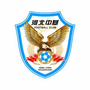 河北中基（2010）
