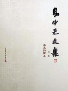 易中天文集
