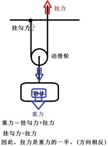 动滑轮