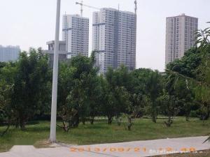 北流镇