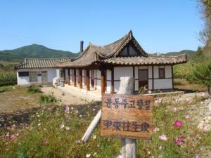 龙井