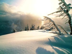 立冬雪景