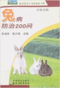 怎么养兔子不生病 300