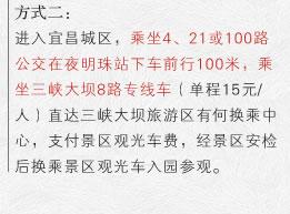 非自驾游游客参观方式