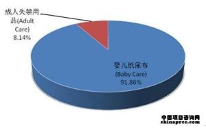 2012年中国一次性纸尿布市场占比分析