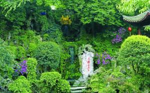 杭州西湖栖霞岭的景色