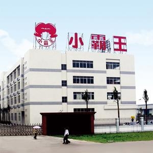 小霸王公司