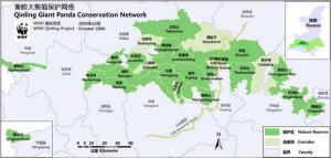 秦岭大熊猫保护区