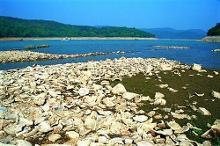 上林湖越窑青瓷遗址图册