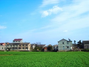 天台县坦头镇风光