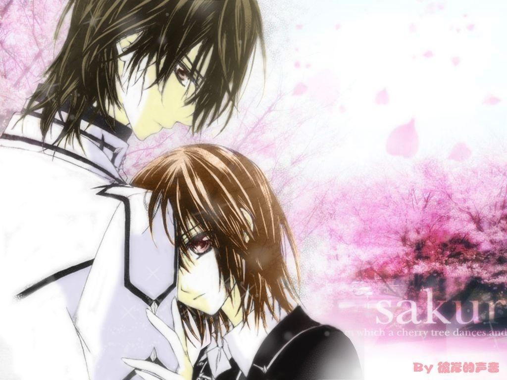 是纯血种,之后的吸血鬼数量增加,就以玖兰家族为王统治着这个暗夜之族