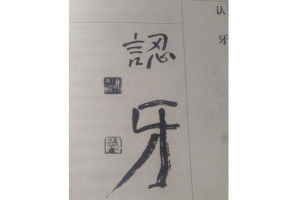 认牙 _ 百科