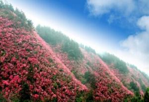 木兰文化生态旅游区