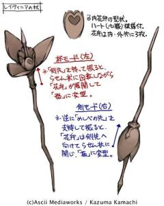 剑与杯之杖