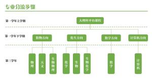专业分流步骤图
