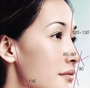 鼻部美学标准