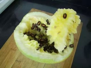 籽瓜