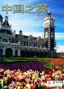 中国之翼 中国之翼
