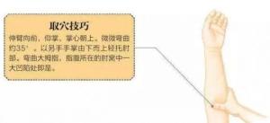 尺泽穴